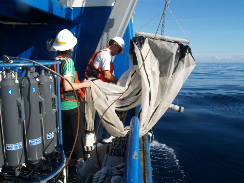 Crew of RV Savannah preparing for a plankton tow
