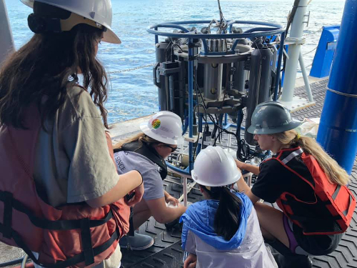 Undergraduate students do research on the RV Savannah