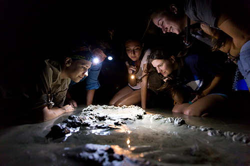 Student studying fish at night