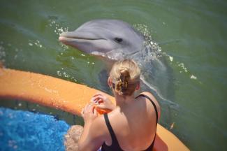 Sydney with dolphin