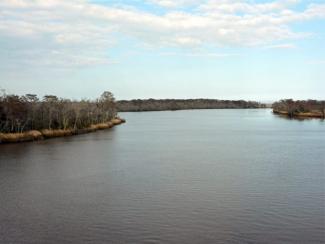 altamaha river